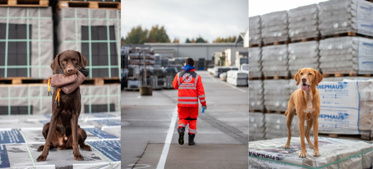 Rettungshundeeinheit des DRK OV Stemwede zu Gast bei DIEPHAUS